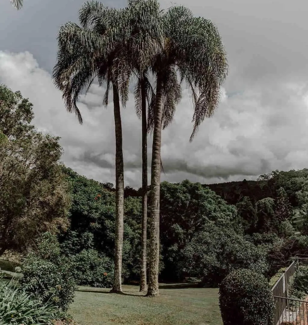 Luxe Hinterland Stay, Eastnor At Montville Estate 펜션